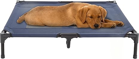 elevated dog bed amazon