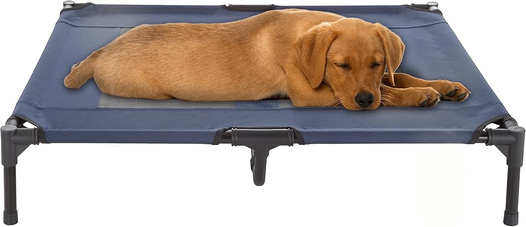 elevated cot dog bed