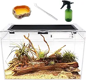 Terrário para répteis, 40,6 cm x 20,3 cm x 25,4 cm, tanque de répteis com visão completa visualmente atraente, para insetos, peixes, tarântula, caranguejo eremita, aranha saltadora, iguana, tartaruga