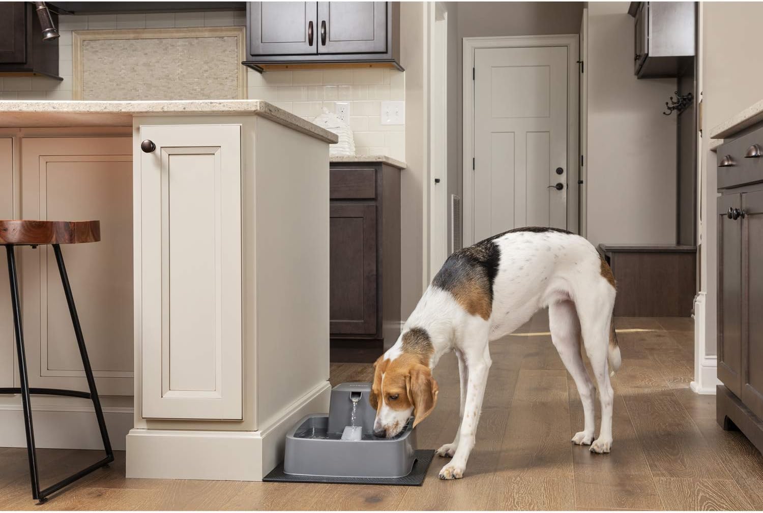 Cat drinking from PetSafe Drinkwell 3.7 Litre Pet Water Fountain