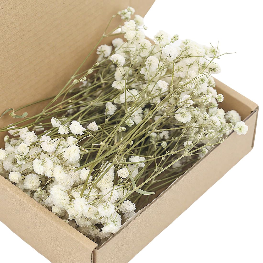 Gypsophila Essiccata Bianchi 100 Pezzi Fiori Secchi per Decorazioni Nozze Artigianato Resina