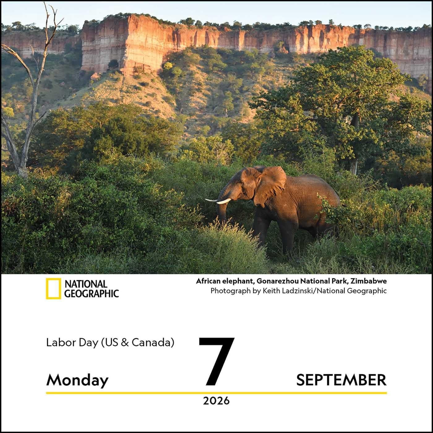 National Geographic: Nature 2026 Day-to-Day Calendar - Image 5