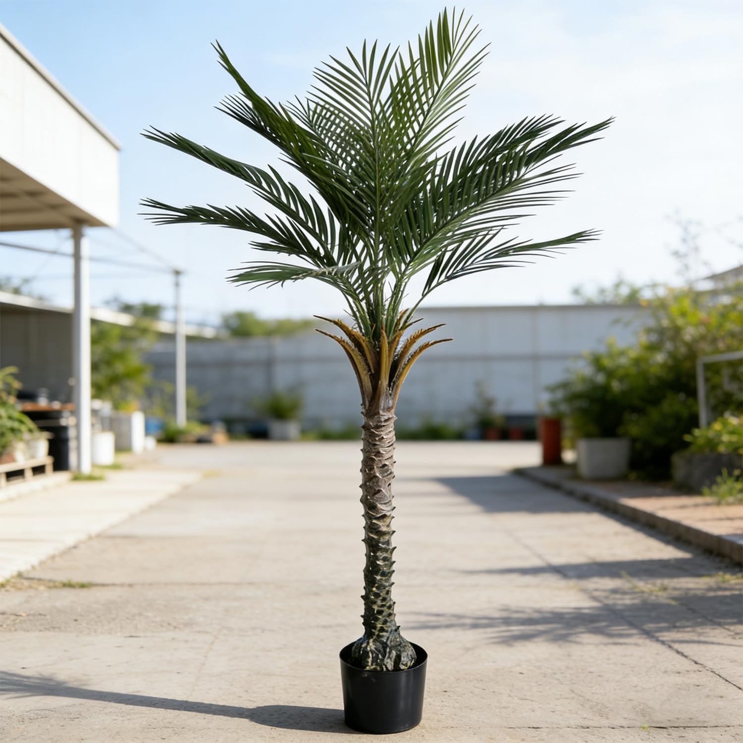 momoplant Artificial Palm Tree 5 Ft Tall UV Rated Faux Tropical Palm Plant in Pot for Indoor or Outdoor Home Office Decor