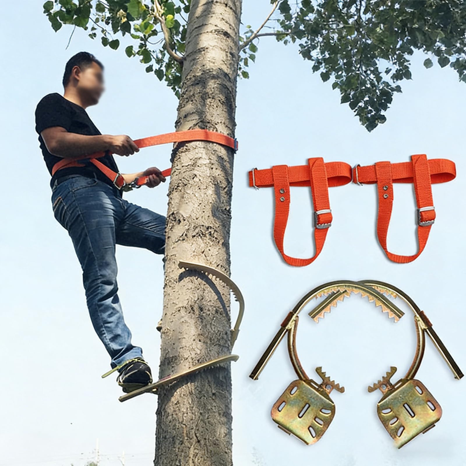 Crampons d'escalade pour Arbres,Griffe elagage Pointes d'escalade pour Arboriste,Outil d'escalade d'arbres,Harnais de sécurité antichute,pour Sports de Plein Air Jungle Cueillette