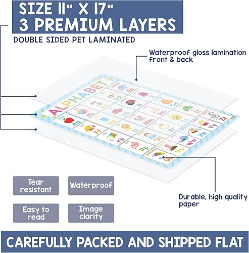 Miniatura 6 de BEAWART 18 pósteres educativos laminados para niños pequeños, carteles preescolares para aula, decoración de pared de jardín de infantes, materiales