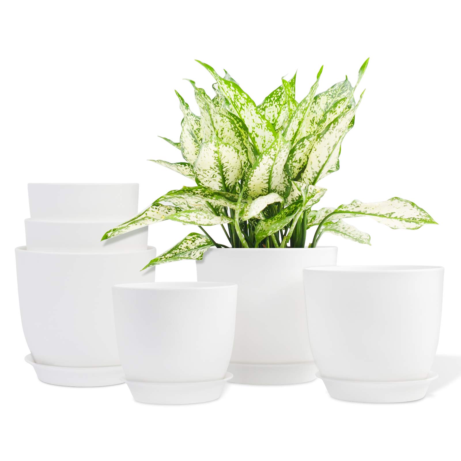 Ourwarm Plant Pots Indoor, Set of 6 White Plastic Plant Pots with Saucers, 6.2/5.5/4.9 Inch Modern Flower Pot with Drainage Holes, Indoor Planter Gardening Pot for All House Plants, Herbs