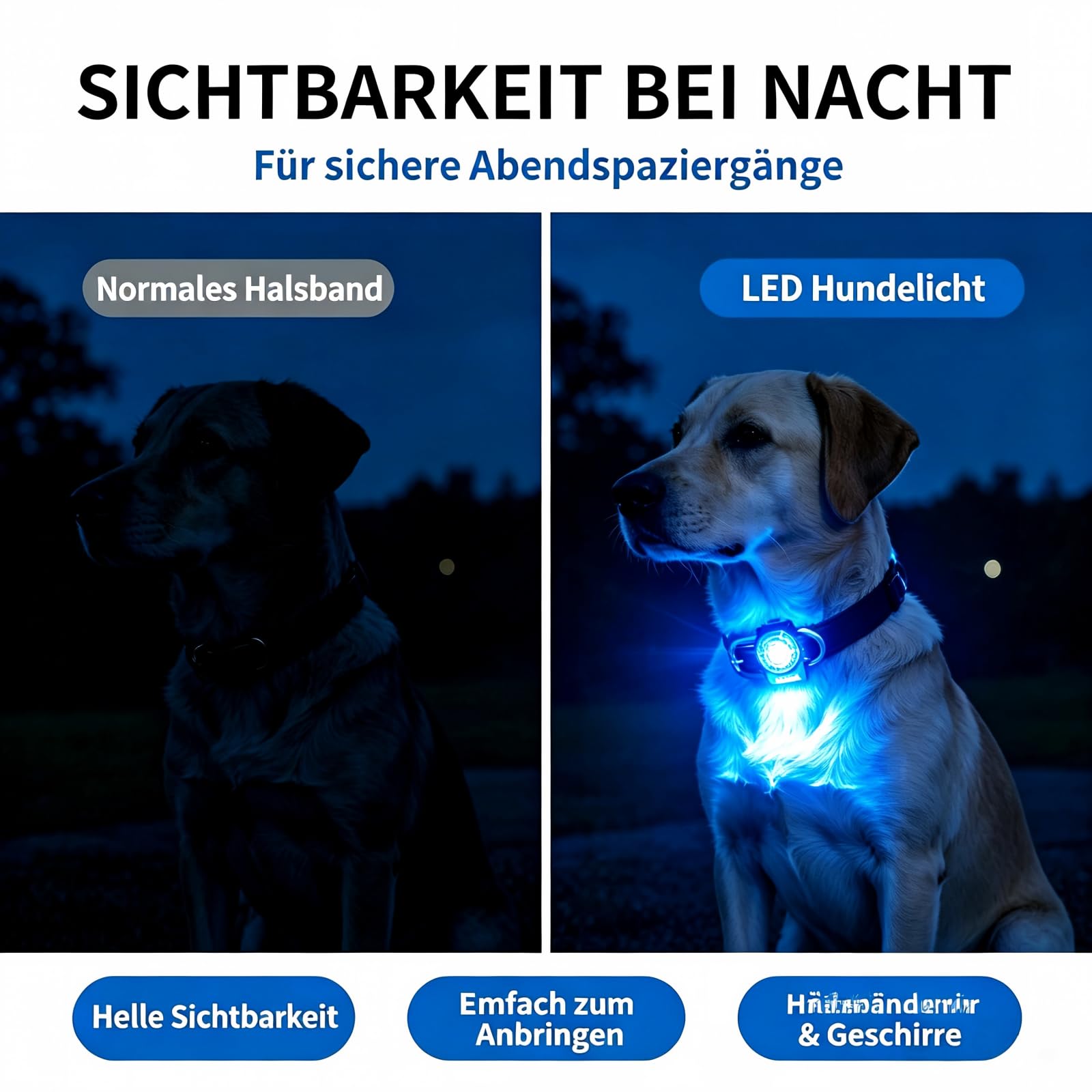 LaRoo Luz LED intermitente de seguridad para perros, gatos, luz LED colgante, llavero con 3 modos de parpadeo, luz de seguridad para pasear con el perro y deportes al aire libre, recargable, All,