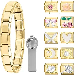 Papasgix Italian Charm Bracelet Charms Pack Links Bulk