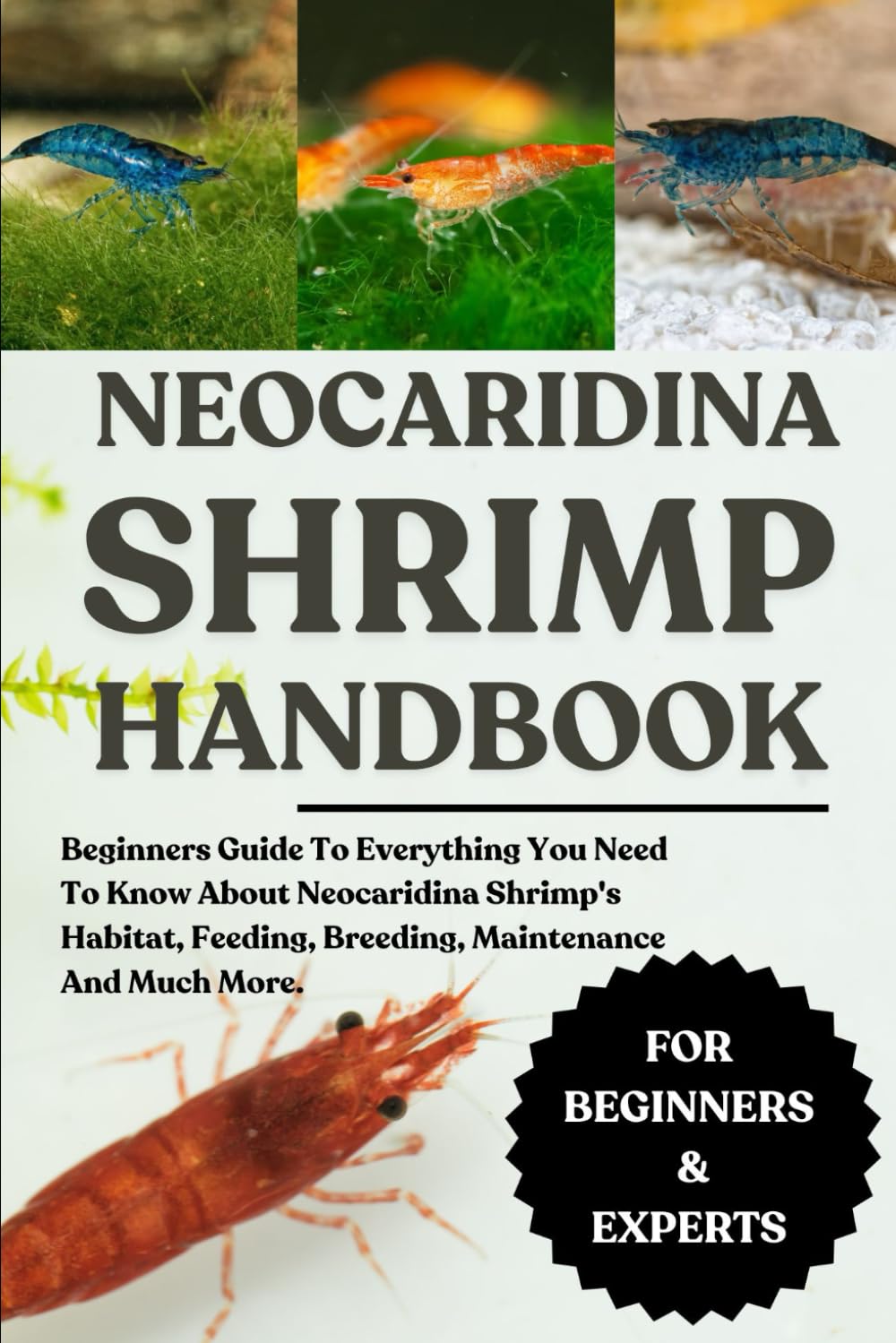 NEOCARIDINA SHRIMP HANDBOOK: Beginners Guide To Everything You Need To Know About Neocaridina Shrimp's Habitat, Feeding, Breeding, Maintenance And Much More.