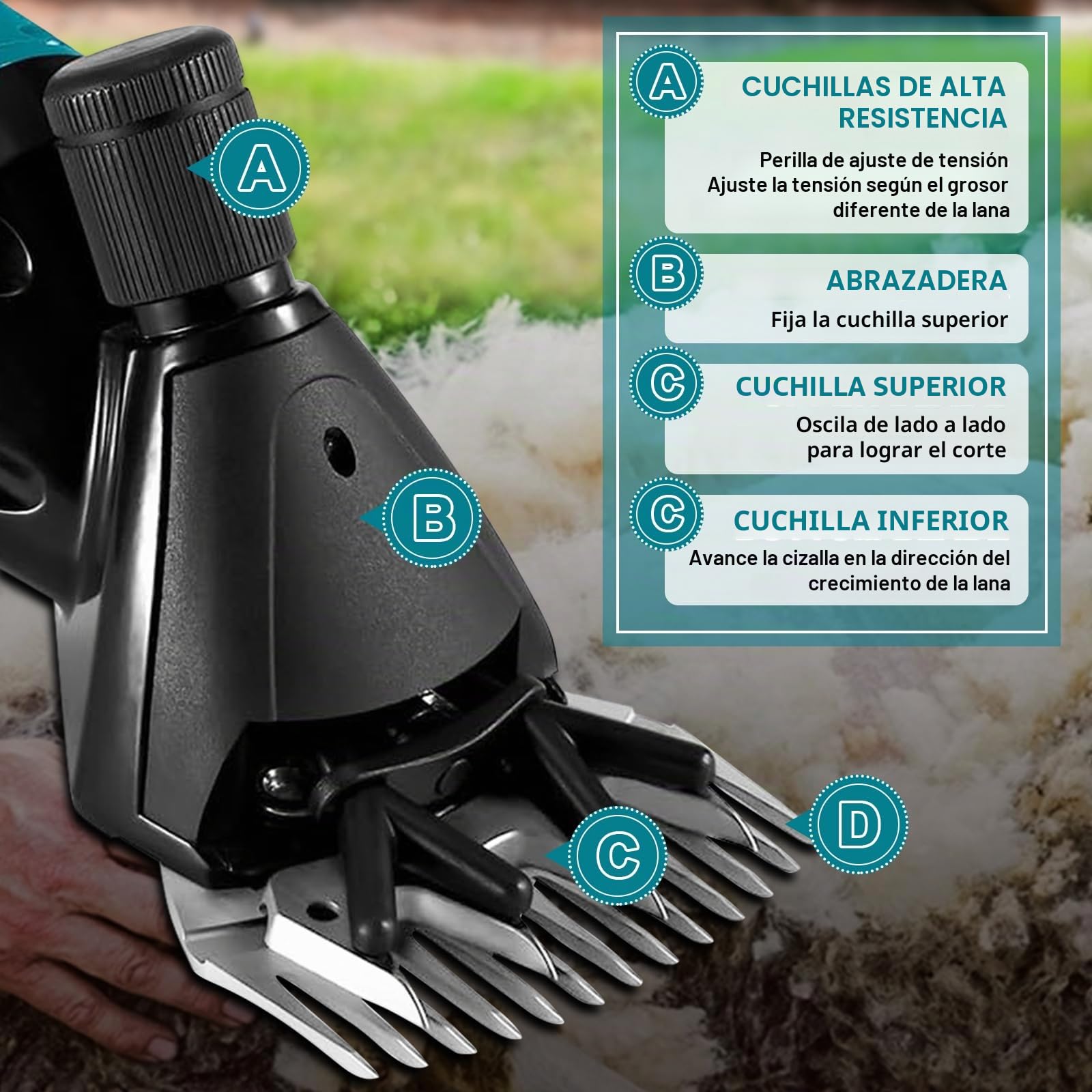 Cortadora de Lana para Ovejas Inalámbrica, Máquina de Esquilar Compatible con Makita 18V, 2400RPM, Tijeras Eléctricas para Ovejas con 2 Cuchillas y Caja de Plástico, 6 Velocidades (SIN Batería)