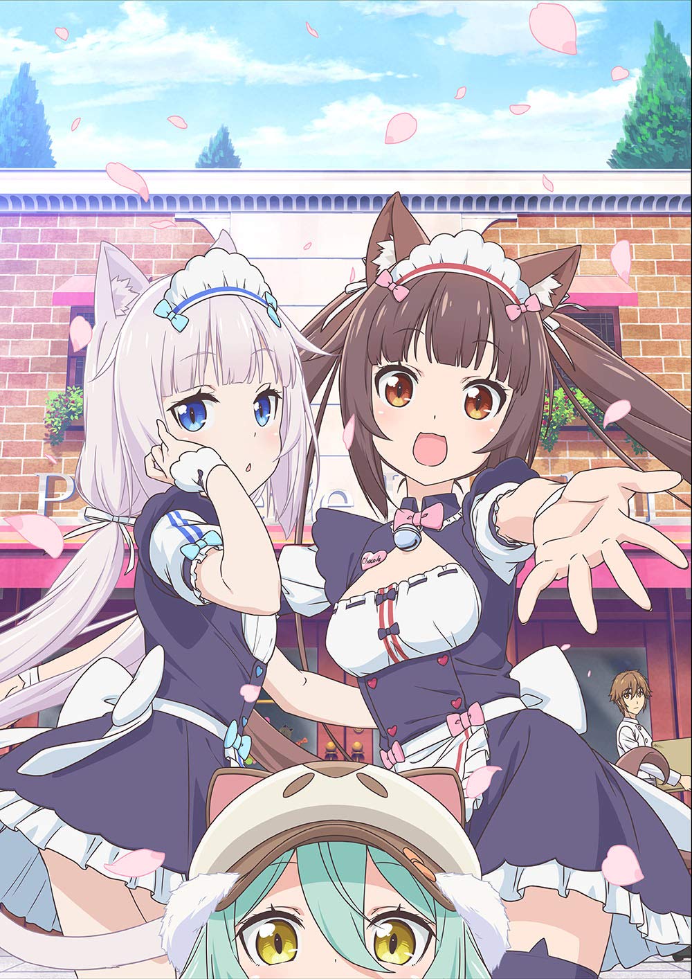 ネコぱらAfterパッケージ版特典付き NEKO WORKs/NEKOPARA Official on X: 