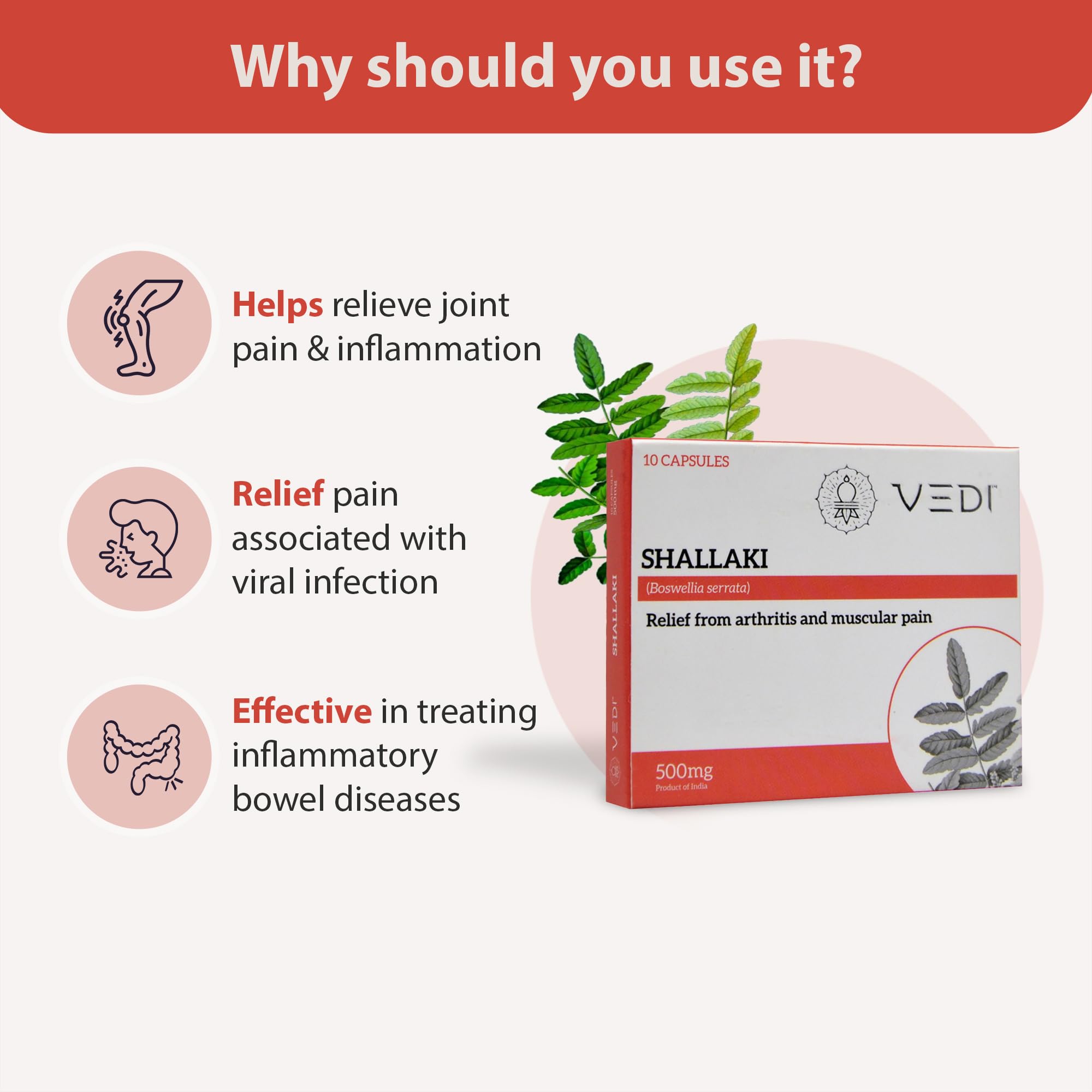 Vedi Shallaki Capsules 500mg | Natural Boswellia Serrata Supplement for Joint Wellness & Mobility Support | Ayurvedic Herbal Formula | Vegan, Non-GMO, Gluten-Free | Pack of 1 — Amazon image 4