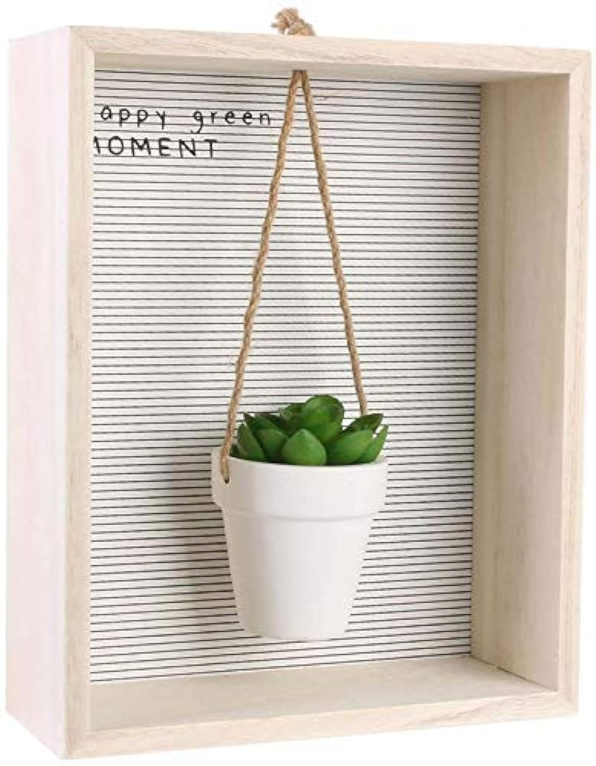 HOME DECOFactory Decorative Wall Frame Shelf Unit with Succulent Greenery for Indoor Decor Hanging Plant
