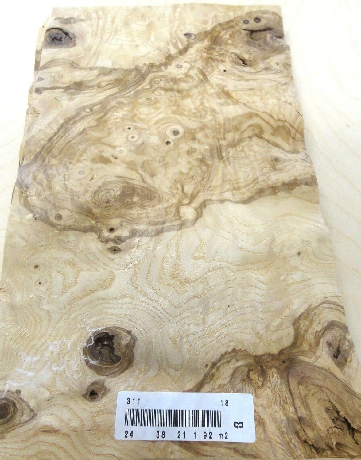 Olive Ash Burl Wood Veneer 9" x 15" raw no Backing 1/42" Thickness AA Grade