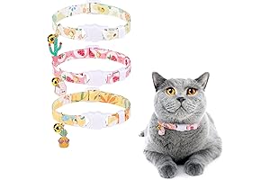 Blueberry Pet Cat Collar