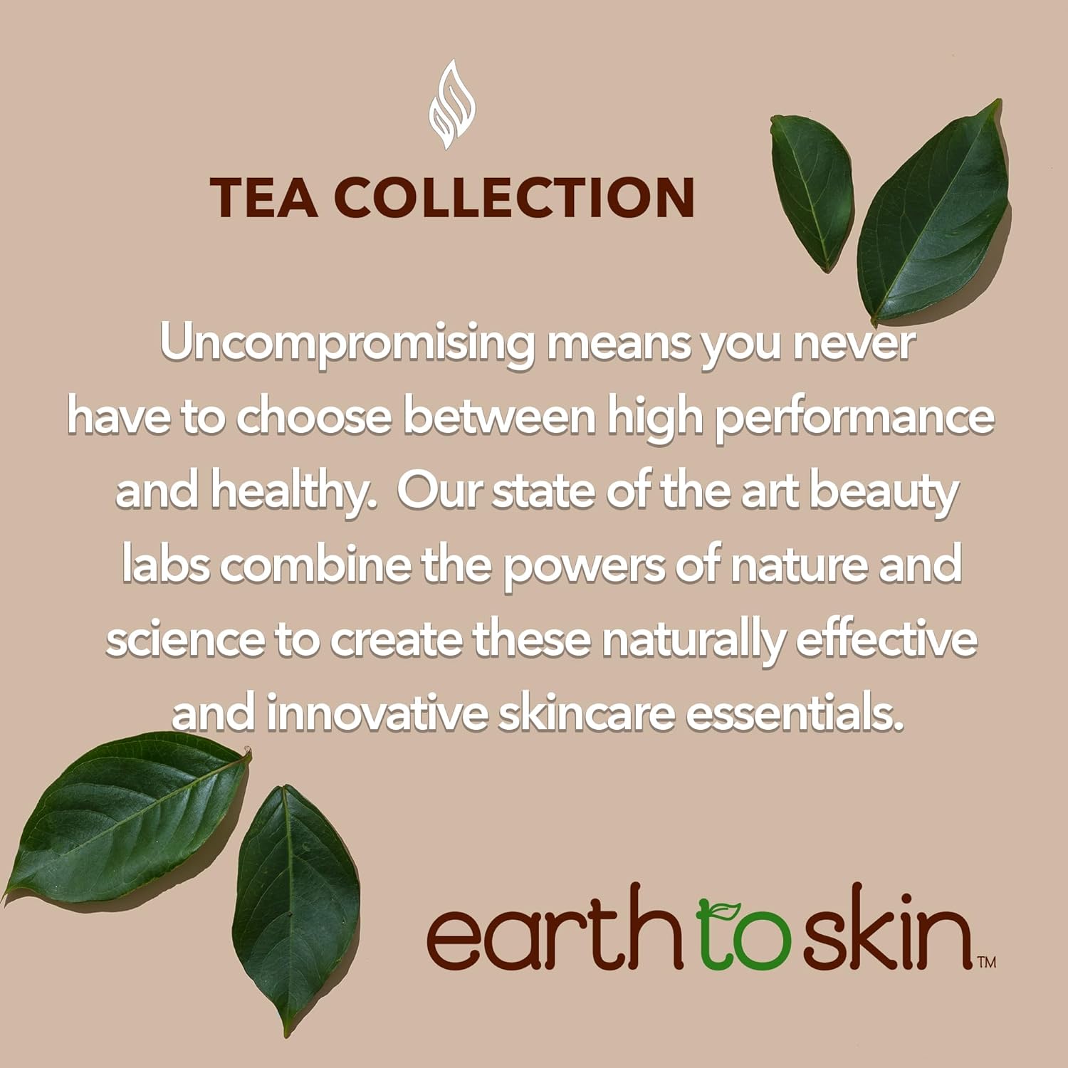 Earth To Skin Tea Time White Tea Face Cleanser – Antioxidant-Rich Daily Face Wash with Glycerin – 4.7 fl oz - Image 6