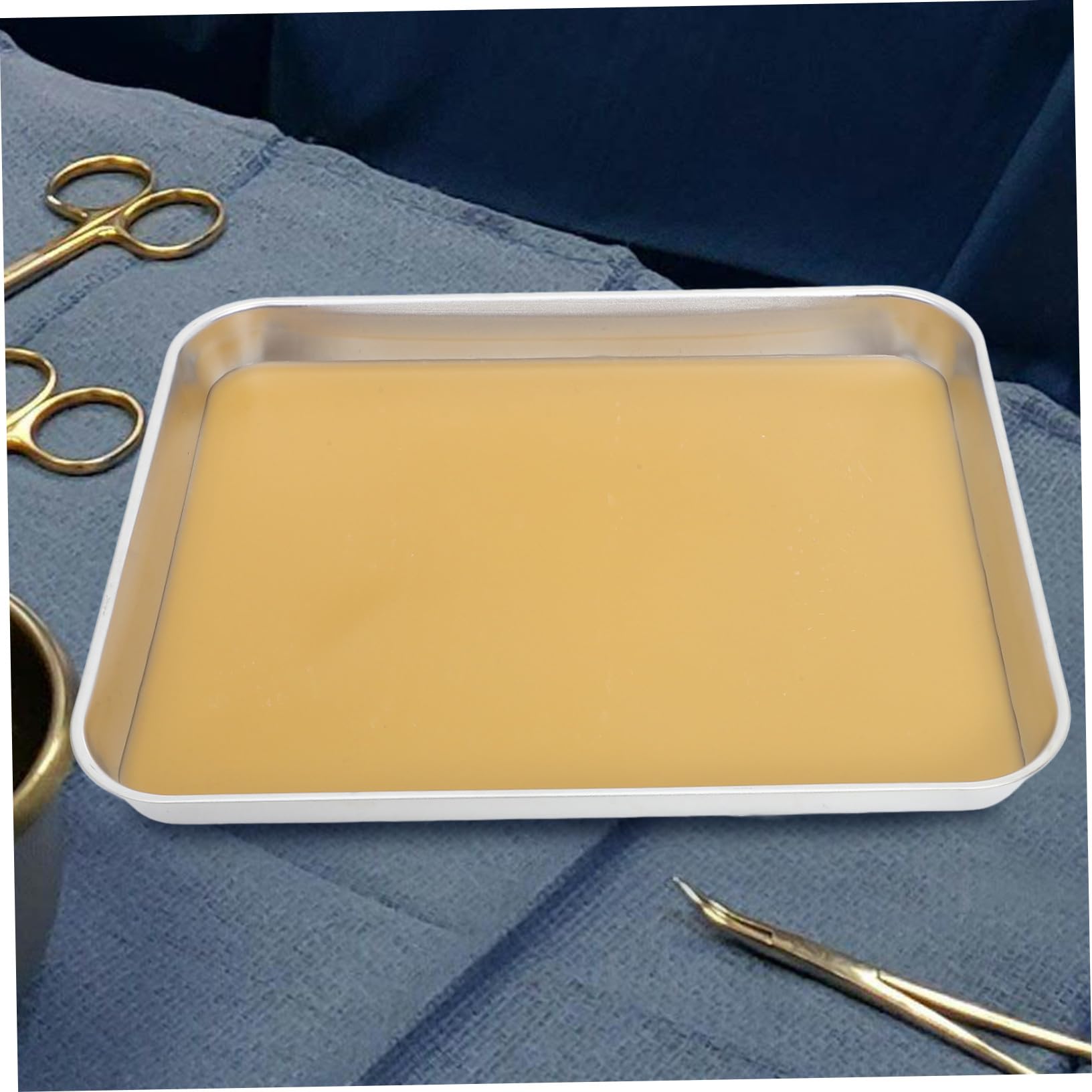 Cabilock Vassoio da Dissezione in Acciaio Inox con Cera per Laboratorio Biologico Design Preciso e Bordi Arrotondati Antinfortunistici Strumento Versatile per Studi Anatomici Scuola Media e
