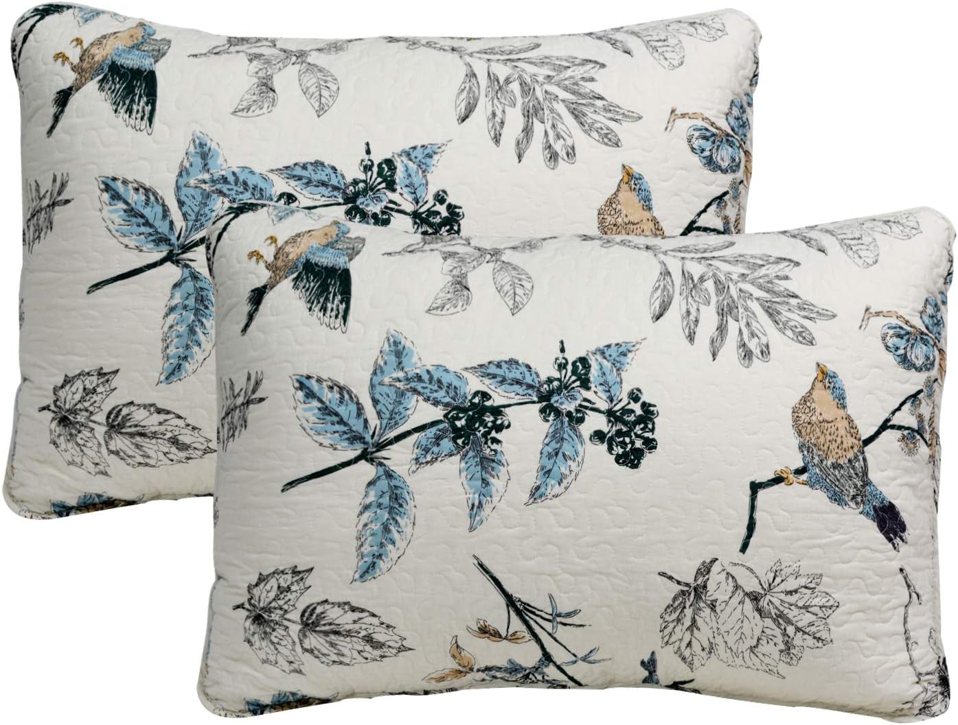 Brandream 100% Cotton Quilted Pillow Shams 2-Piece Standard Size American Country Pillow Shams Bedroom Decor