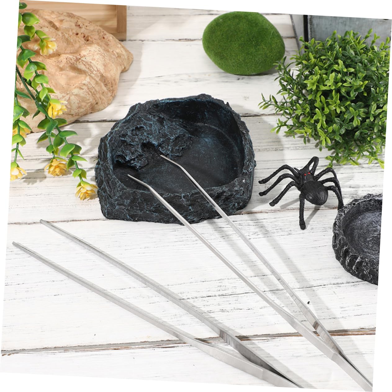 1set Ciotole per Cibo per Rettili con Pinze Curvate Ciotola per Tartarughe e Drago Barbuto Accessori per Terrario Alimentazione Sicura e Comoda per Rettili Ciotola Spaziosa per