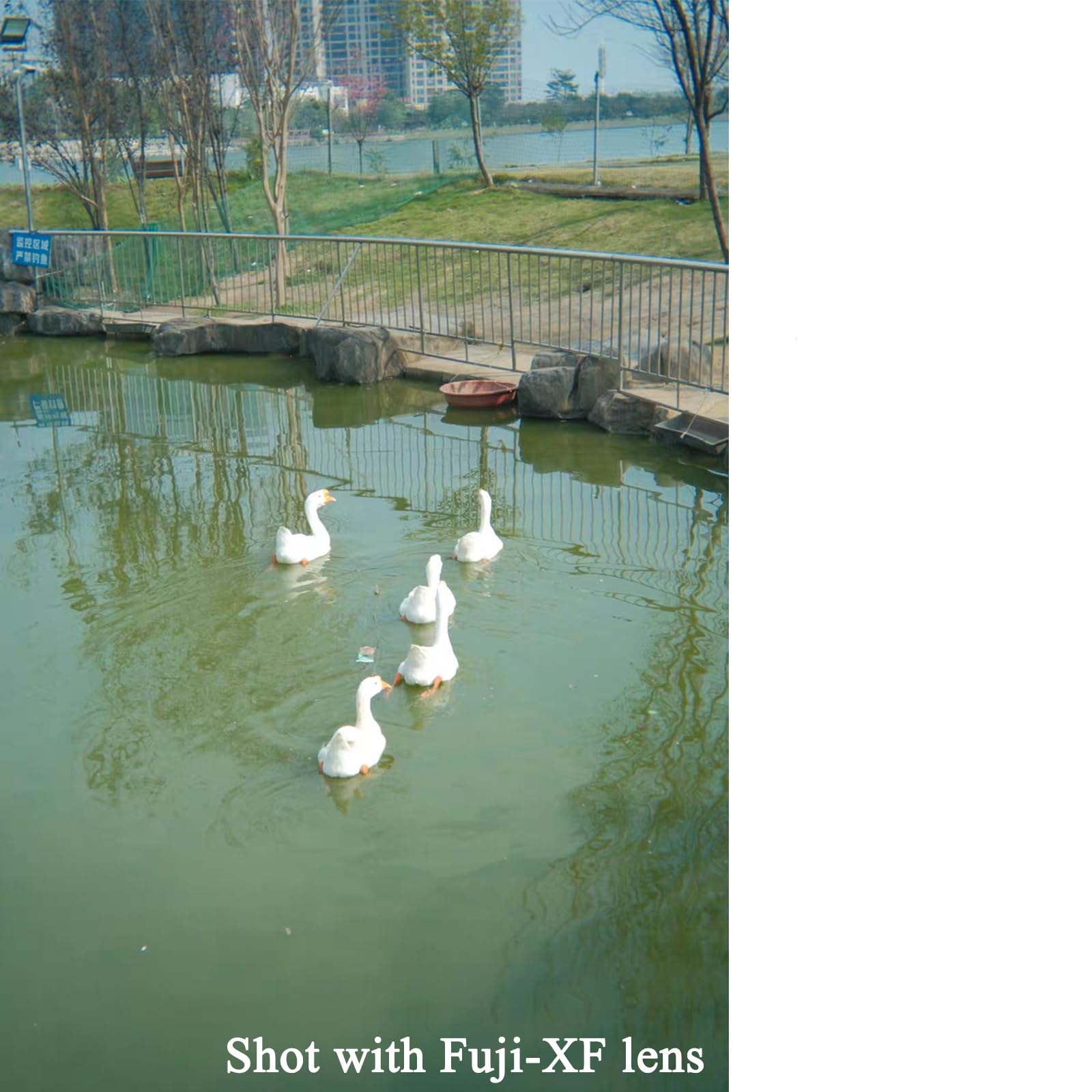 Fotocamere mirrorless Focus Free Pancake Lens X-pro3 Street Humanity Documentary Photography Lens 32mm Compatibile con So- ny E mount Fu- ji XF Ca- non Ni- kon (So- ny E)