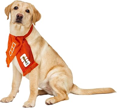Littlearth Pet Soccer Team Scarf - Officially Licensed FIFA 2026 Pet Apparel  in 13 Fan-Favorite Country Designs