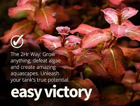 2HR Aquarist All-in-one Aquarium Plant Fertilizer APT E Estimative Index (300ml)