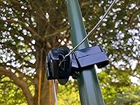 Review Image by Tamar Tamar