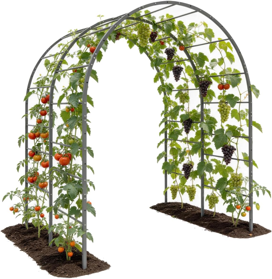 A ANLEOLIFE Garden Arch Trellis for Raised Garden Beds, Heavy-Duty Metal Archway, Bed-Mount or In-Ground Install, Deep-Insert Stability for Cucumbers, Beans, Gourds & Squash, Quartz Gray