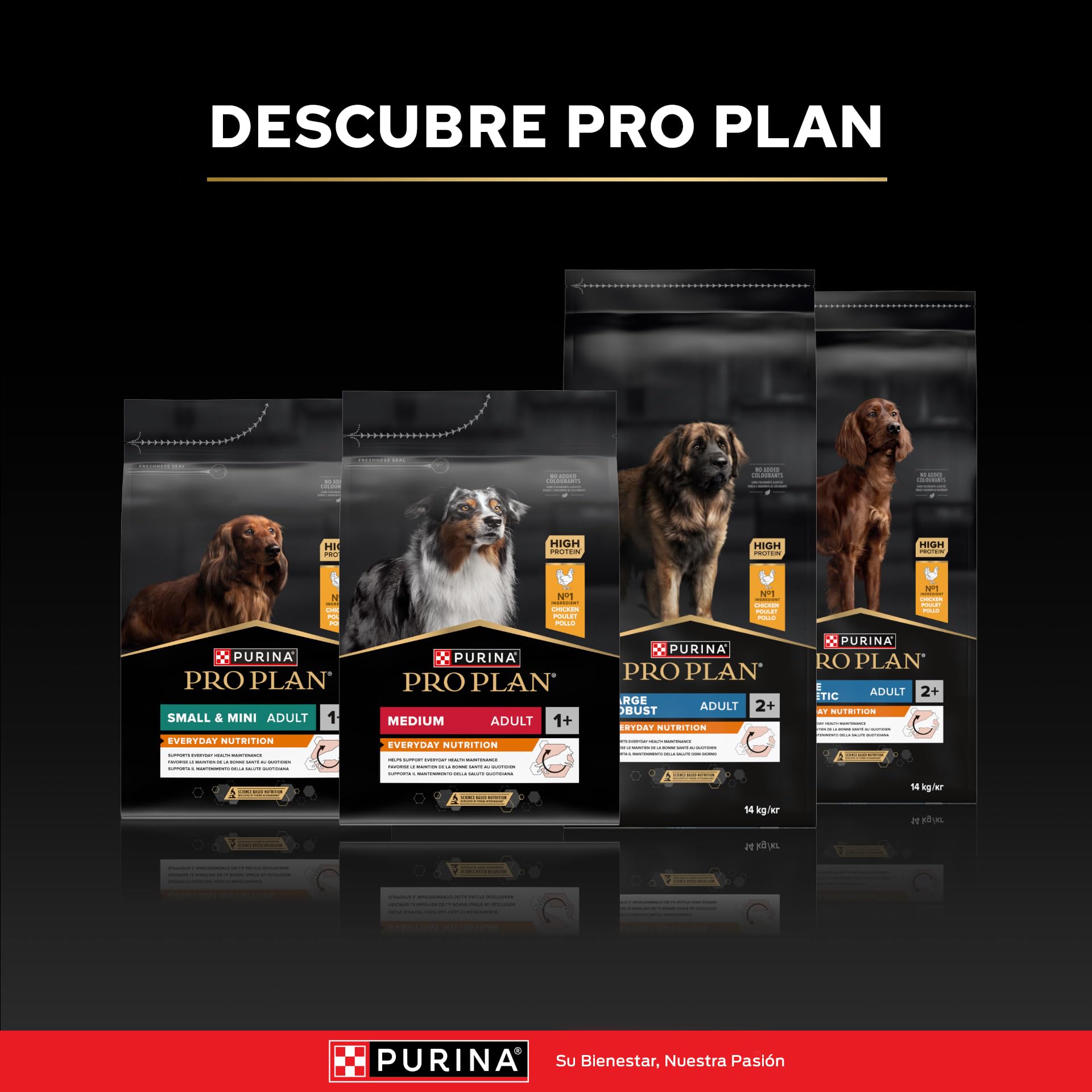 Purina Pro Plan Medium Adult Derma Pienso para Perro Mediano Adulto, Piel y Pelaje con Salmón, Saco de 16kg