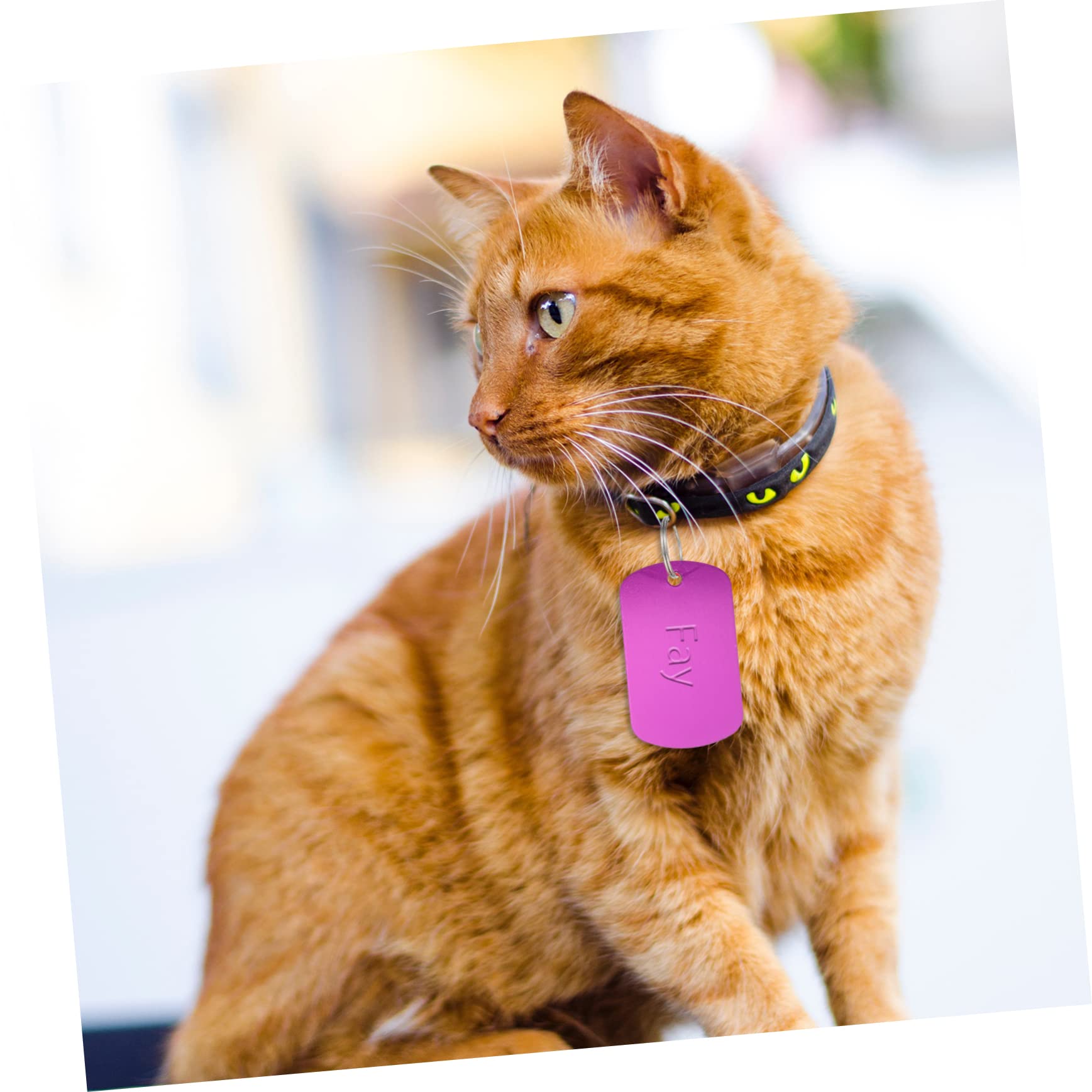Happyyami 120pezzi Medagliette Per Animali Domestici Tag Identificativi Personalizzabili Per Cani Gatti e Piccoli Animali Per Fai Da Te
