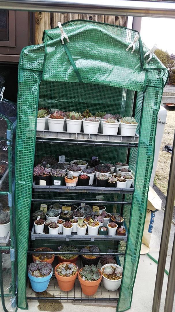 ガーデニング 3段 観葉植物 温室 ガーデンハウス 家庭菜園 ガーデニング 3段 観葉植物 温室 ガーデンハウス 家庭菜園 家庭