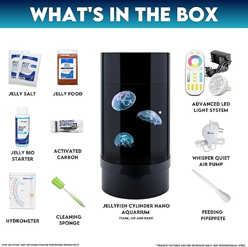 Miniatura 2 de Jellyfish Art Jelly Cylinder Nano Generation 2 (kit solo acuario) - Acuario principiante para medusas vivas