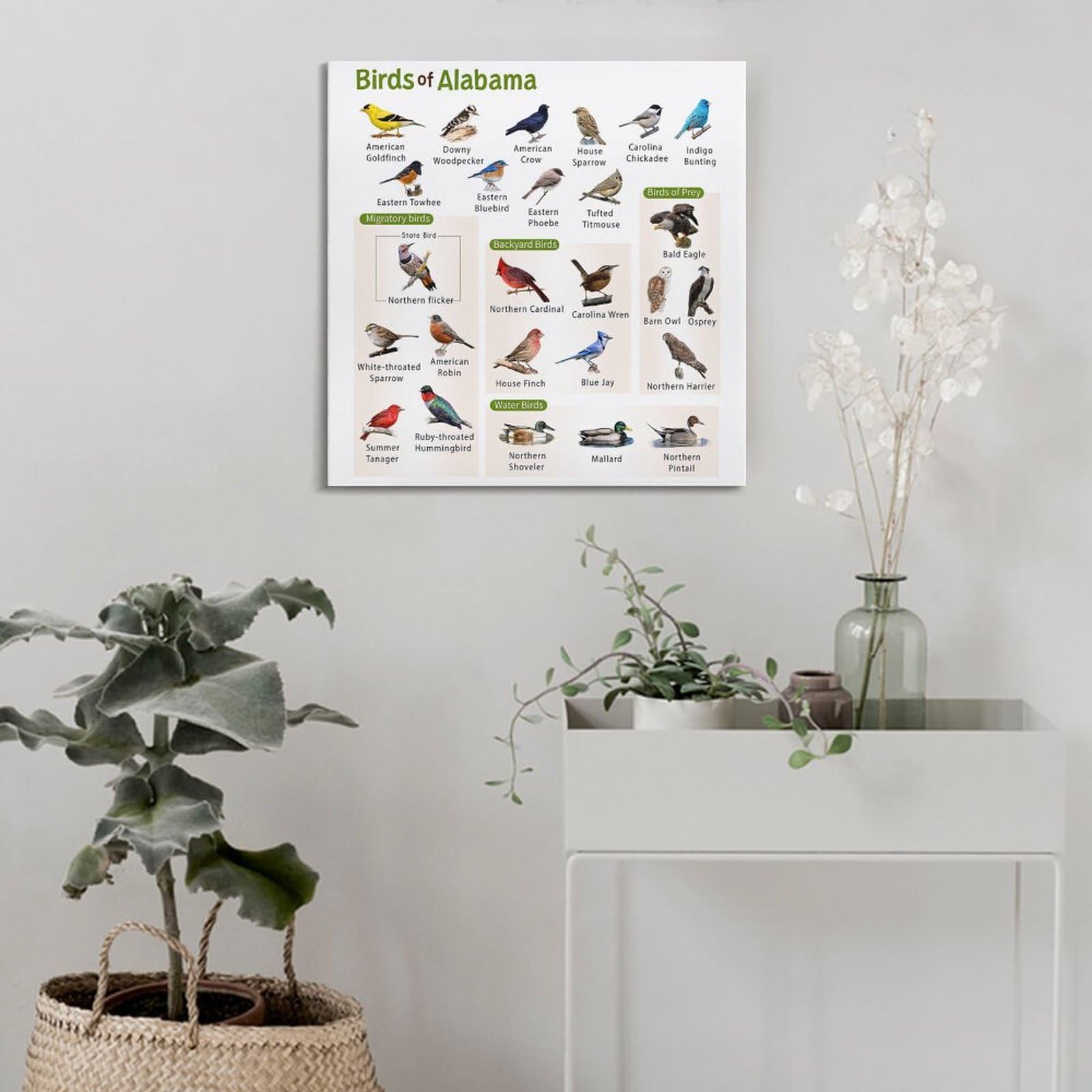 HNPBB Poster mit Vogelführer, Motiv: Alabama, dekoratives Gemälde, Leinwand, Wandposter und Kunstdruck, modernes Familienschlafzimmer, Dekoration, Poster, 50 x 50 cm