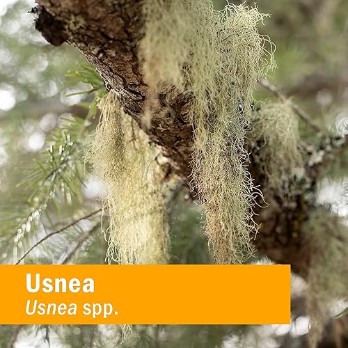 Miniatura 6 de Herb Pharm Usnea Extracto líquido para limpieza y desintoxicación - 4 onzas