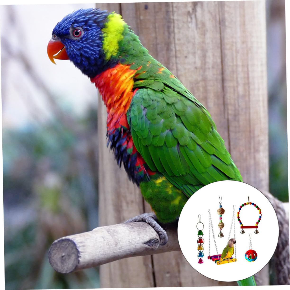 VILLCASE 5 Pièces Jouets à Mâcher pour Perroquets Oiseaux Accessoire pour Animaux De Compagnie Jouet pour Oiseaux