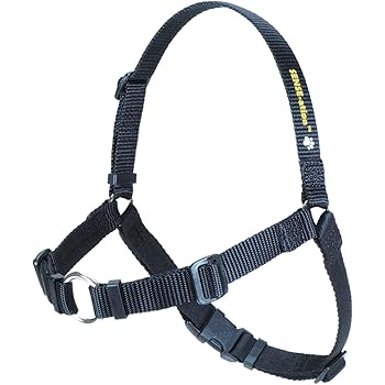 petsense dog harness