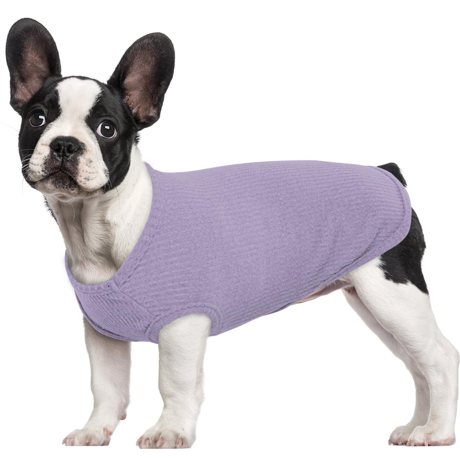 Hjumarayan Camiseta Perro, Camiseta Perrito Fino Camisetas Ligero para Perros Elástico Camiseta Perro Verano, Ropa Verano Perros Ropa Perro Chihuahua Ropa para Gatos, Morado XS