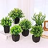 Product Photo 4