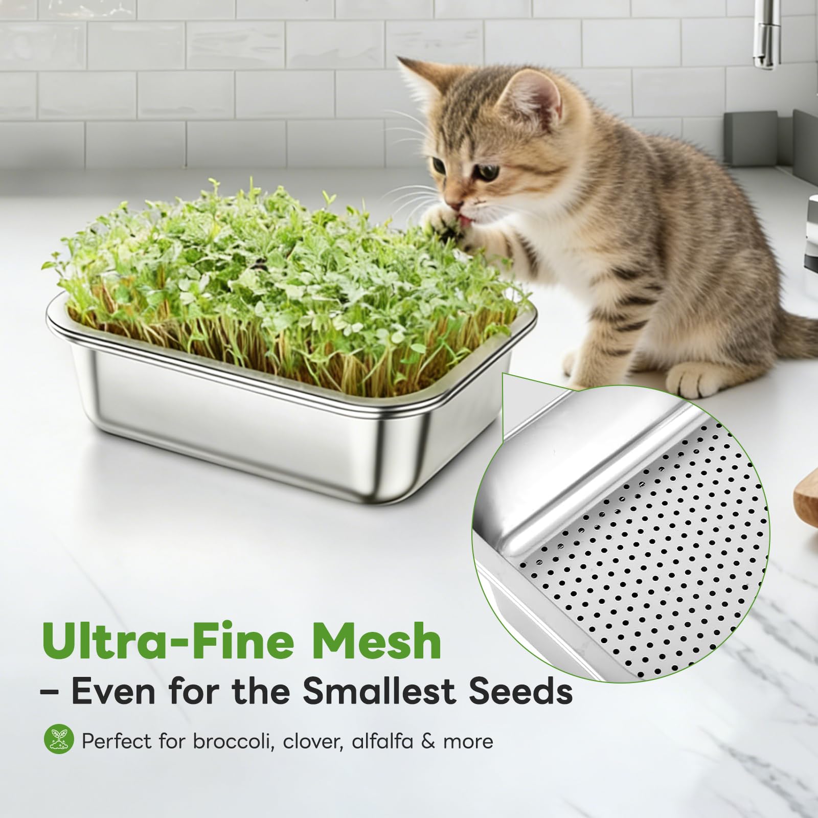 Acero Inoxidable Germinador de Semillas - 26 x 9 cm Bandejas de Germinación Reutilizables - Cultivo Sin Tierra Hierba para Gatos - Semilleros Profesionales para Brotes Hierba para Berro Microgreens