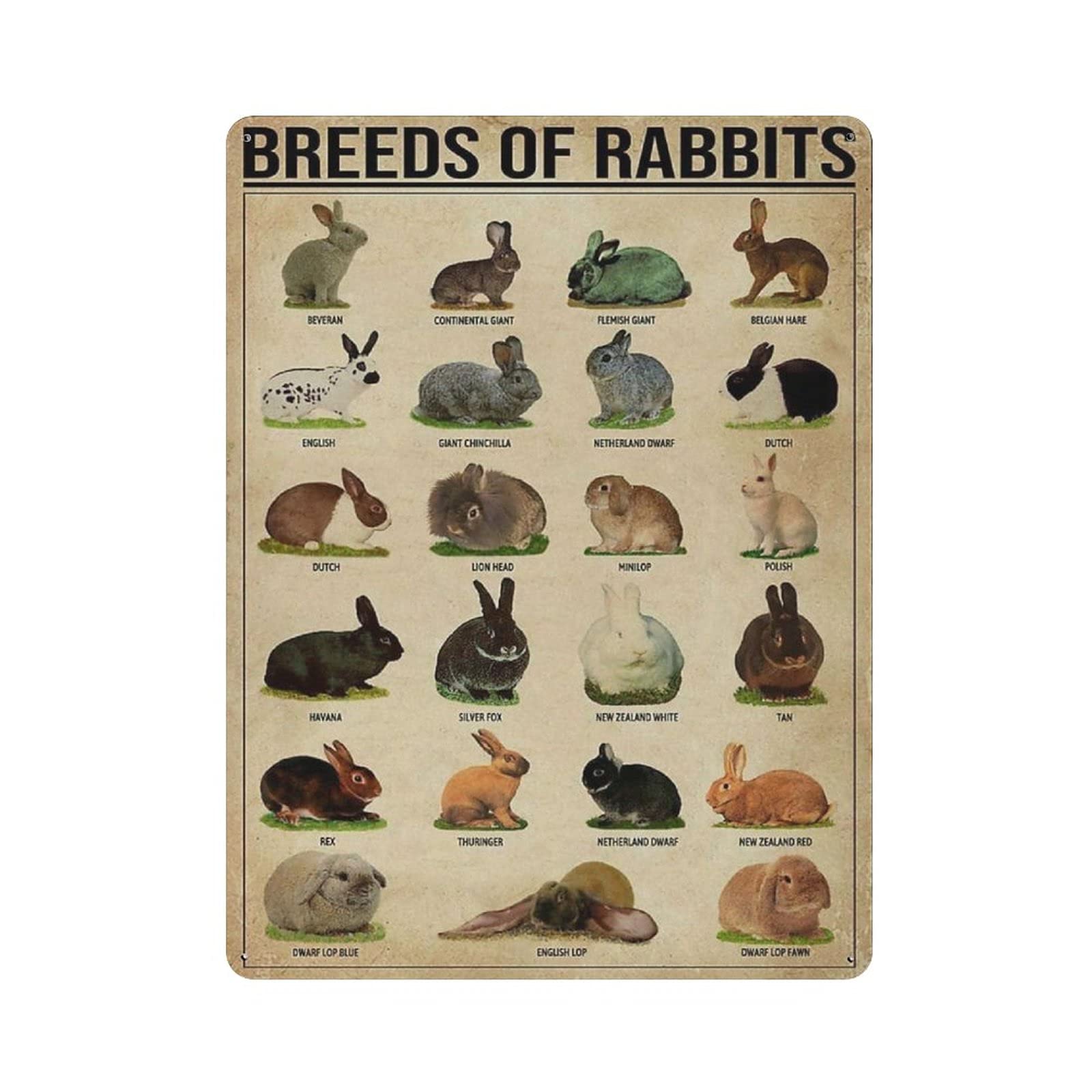 Metal Tin Sign Rabbit Breed Knowledge Vintage Tin Poster Metal Sign Wall Decoration Country Kitchen Home Garage Decor 16"x12"