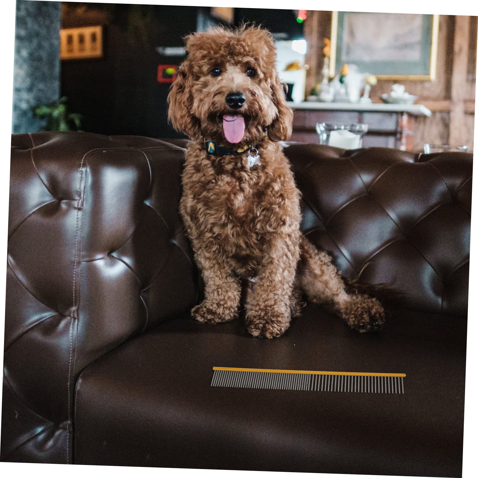 Happyyami Grooming Cat Hair Comb Wear-resistant Dog Comb Reusable Kitten Brush Small Size 2 Pack