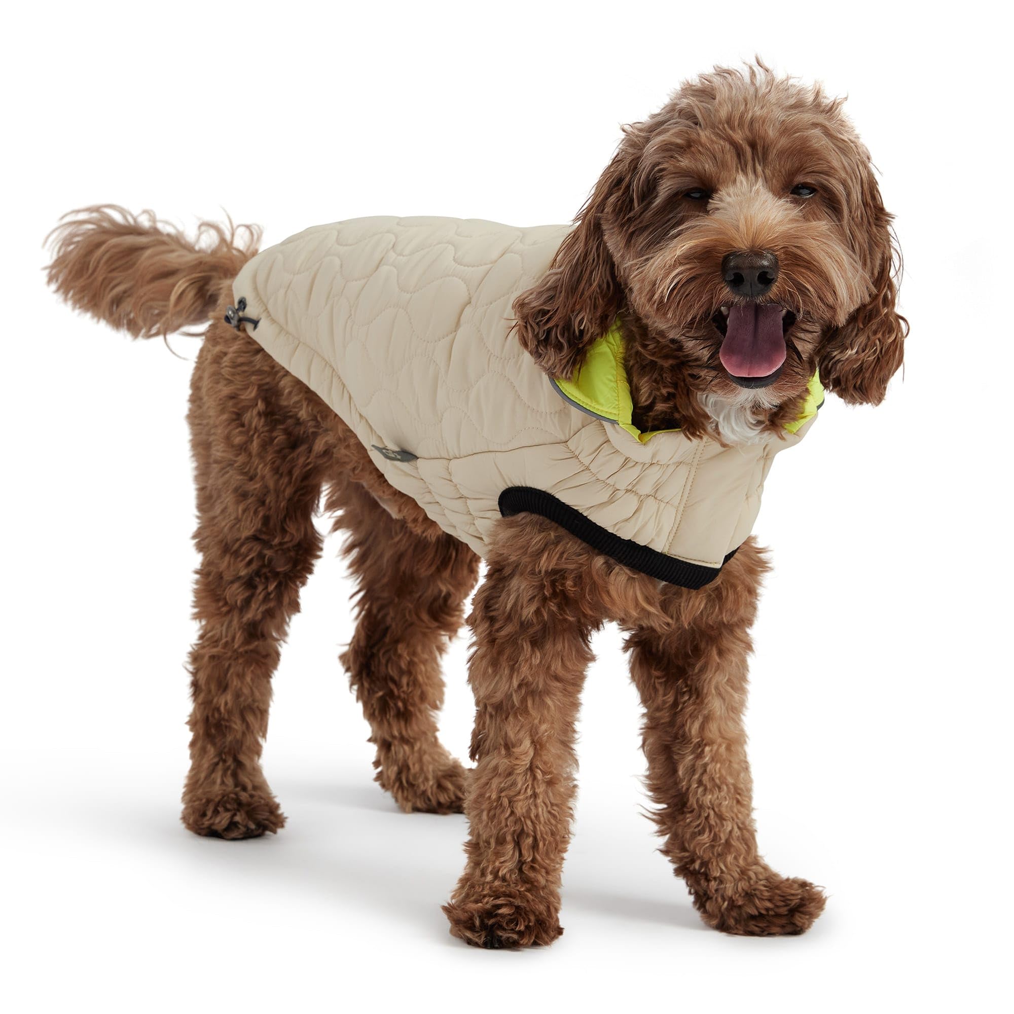 GF Pet Reversible Chalet Jacket - Sand/Yellow - L