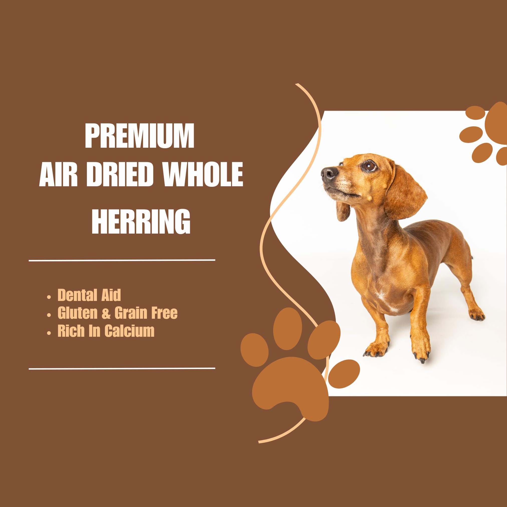 Premium Air Dried Whole Herring Dog Treats, 5 g (Pack of 20) - Image 4