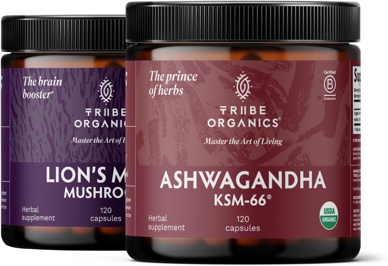 TRIBE ORGANICS NOOTROPIC Duo - KSM66 Ashwagandha + Organic Lion's Mane - Beyond Focus, Mind Awareness and Mind Health
