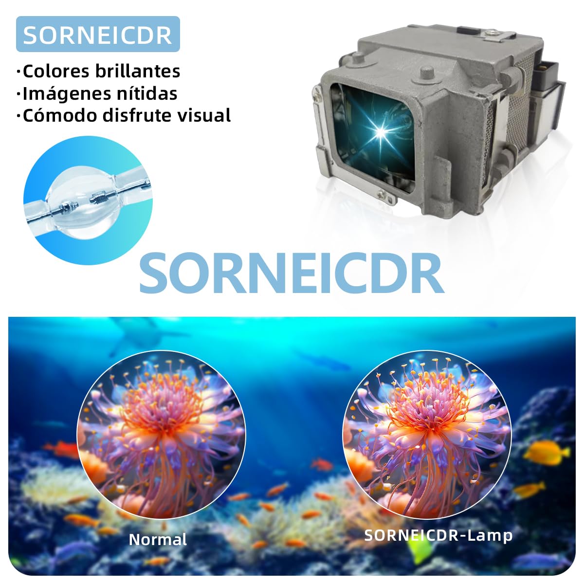 Lampada Proiettore Per Epson ELPLP65/V13H010L65 EB-1760W 1761W 1751 1771W PowerLite 1776W PowerLite 1761W PowerLite 1771W 1750 1775W Videoproiettore