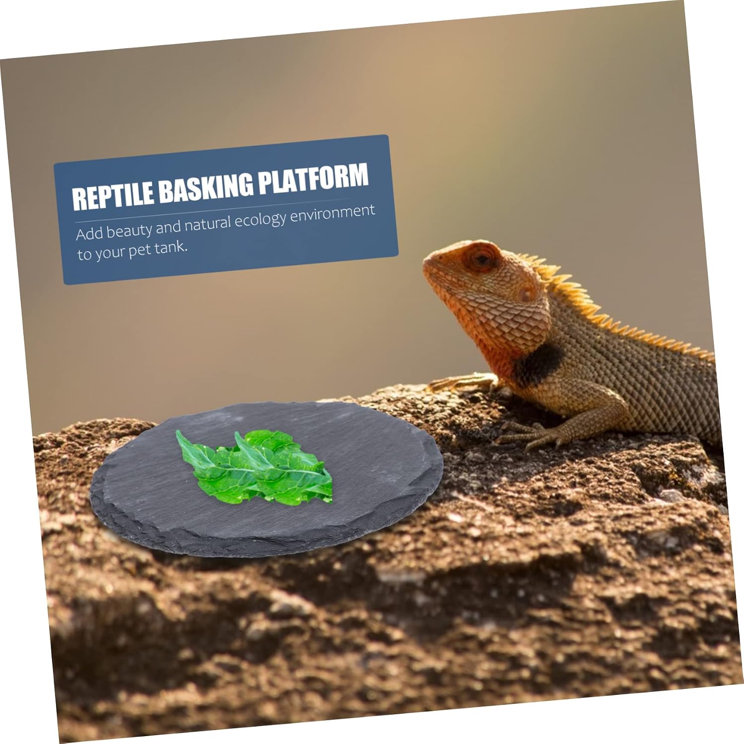 Basking Stone Platform 2Pcs Reptile for Geckos and Turtles