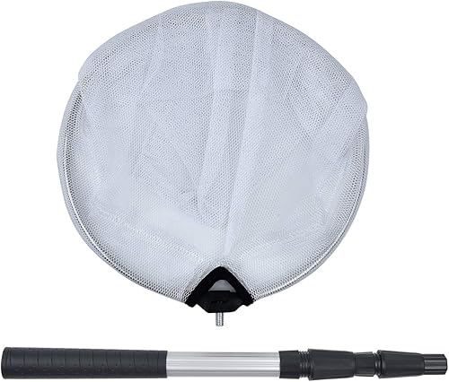 Miniatura 2 de Coopay Red de pesca de insectos y mariposas con anillo de 12 pulgadas, mango que se extiende hasta 36 pulgadas