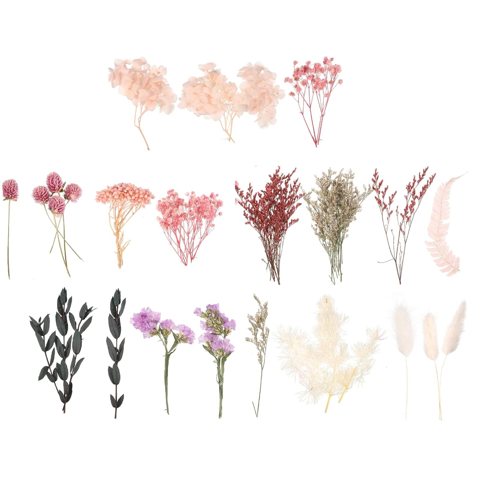 Mini Bouquet Fleurs Séchées Fleurs Séchées Naturelles - Lot De 66 Pièces (DIY Déco) Fleur Séchée