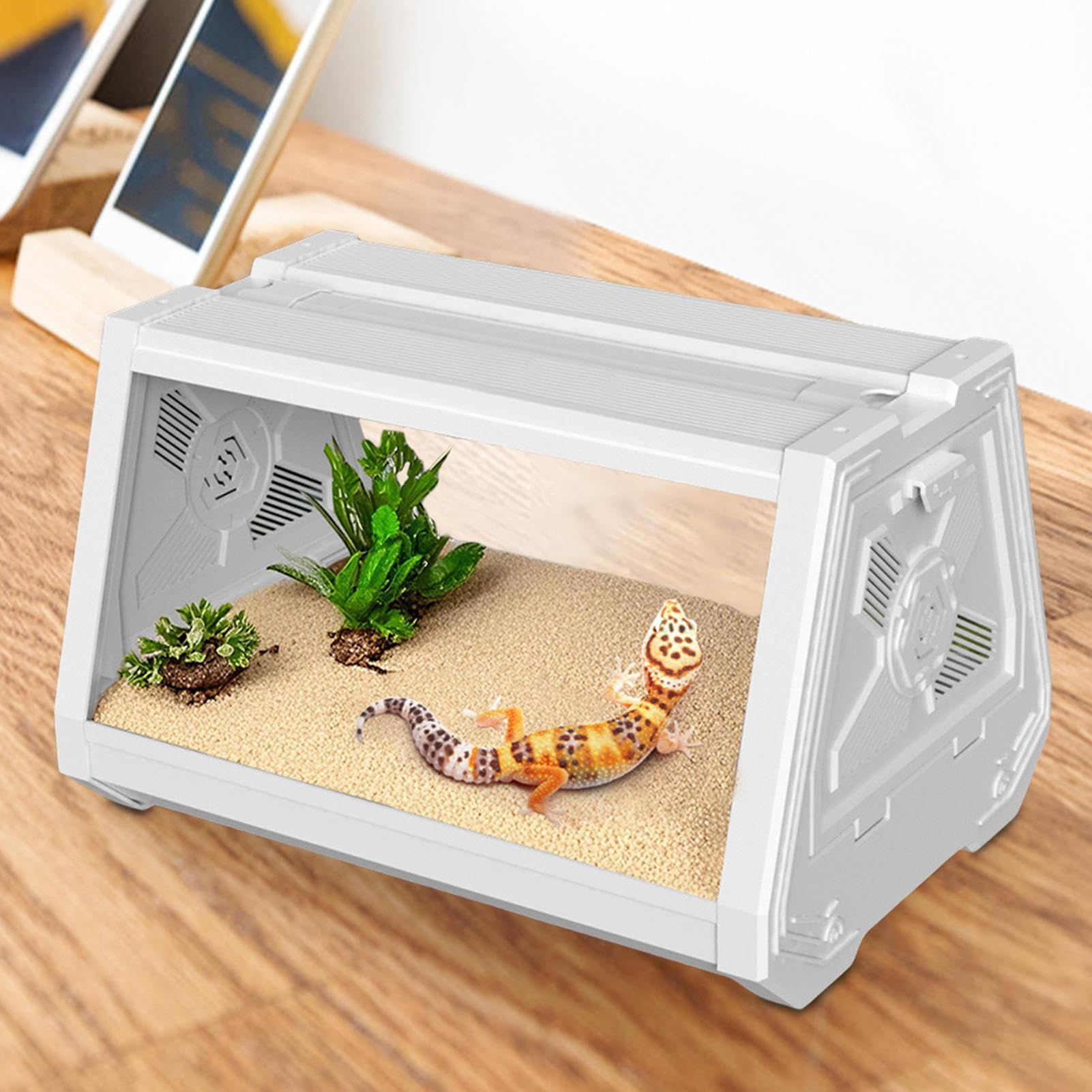Terrarium dla gadów, terrarium gadów Wielofunkcyjna klatka siedliska dla | Wielofunkcyjne terrarium Gad Habitat na kraby pustelni, węże, rogatne żaby