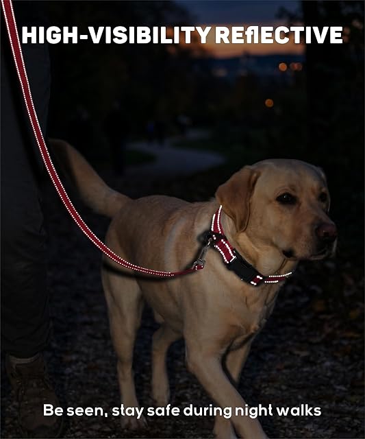Foto 3 de 8 de TagME Collar Perro Ajustable,Collar Nylon Reflectante,para Caminar Correr Entrenamiento,para Perros…